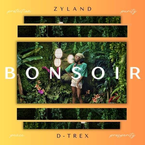 Cover art for Bonsoir